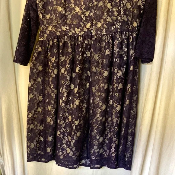 French Connection Navy Blue Lace Dress - Picture 5 of 15